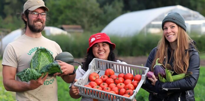 growing-pains:-an-ontario-city’s-urban-agriculture-efforts-show-good-policy-requires-real-capacity