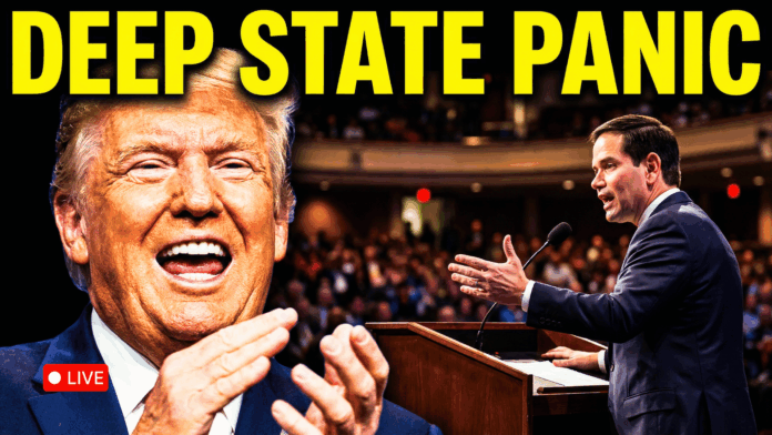 the-saturday-wrap-up-–-“under-destruction”:-the-munich-conference-admits-it’s-over-–-february-14,-2026