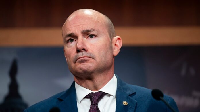 lee-calls-on-senate-to-ditch-spring-recess,-reconvene-to-fund-dhs