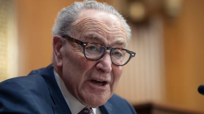 schumer-on-trump-mail-in-voting-order:-‘this-too-will-fail’