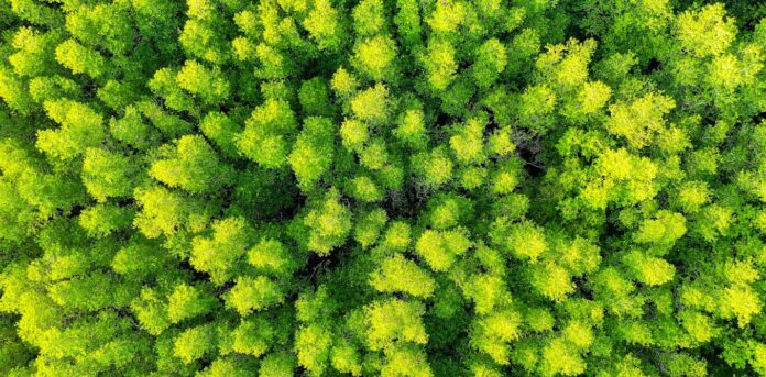 effective-storytelling-can-encourage-climate-action-from-policymakers-and-the-public