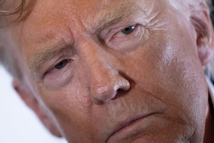 does-trump-have-a-right-to-expect-‘his’ judges-to-side-with-him?