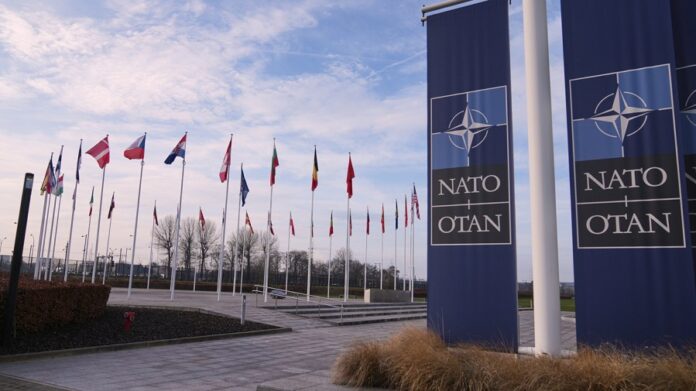 ‘the-falklands-are-british’:-uk-blasts-report-of-trump-mulling-nato-reprisals