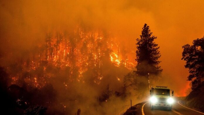 concerns-about-trump-cuts-to-us-forest-service-abound-as-wildfire-season-comes