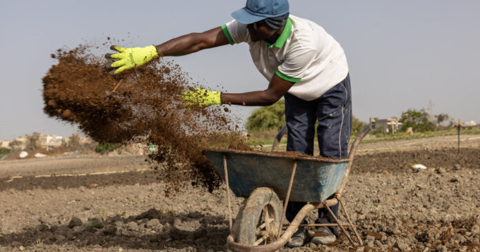 the-iran-war-has-led-to-months-of-global-shortages