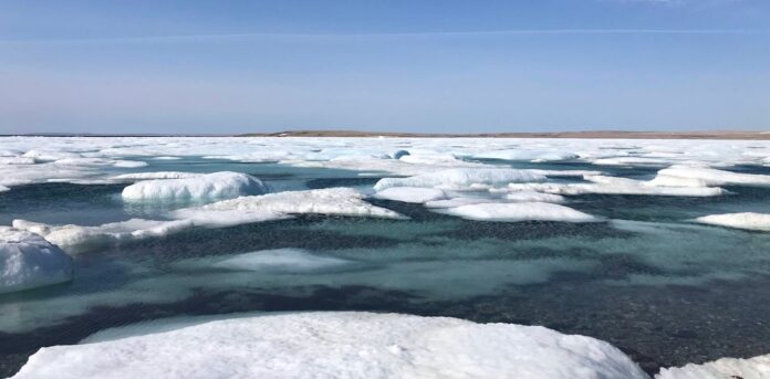 researchers-ask-us-to-rethink-the-ways-we-see-and-study-the-arctic