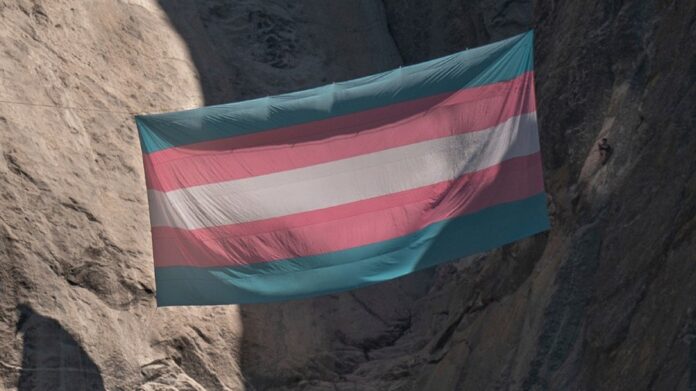 judge-finds-no-authority-to-reinstate-yosemite-ranger-fired-for-trans-flag 
