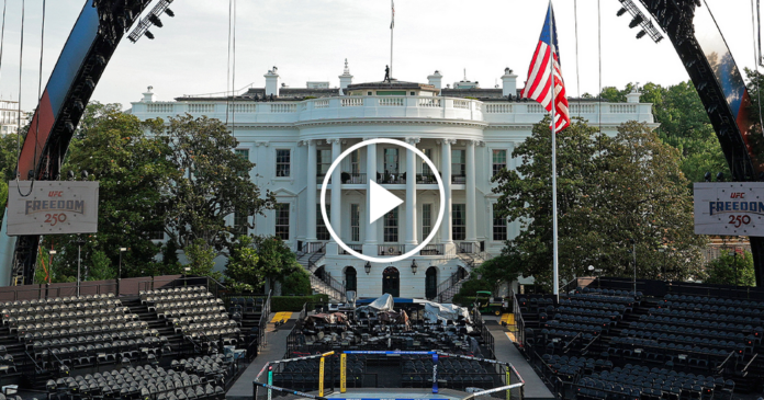 how-trump-and-ufc.-are-exporting-cage-fight-diplomacy