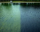 trump-administration-compares-reflecting-pool-algae-battle-to-iran-war
