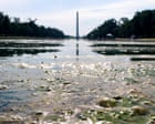 it’s-not-easy-being-green:-trump’s-botched-reflecting-pool-becomes-2,028ft-metaphor
